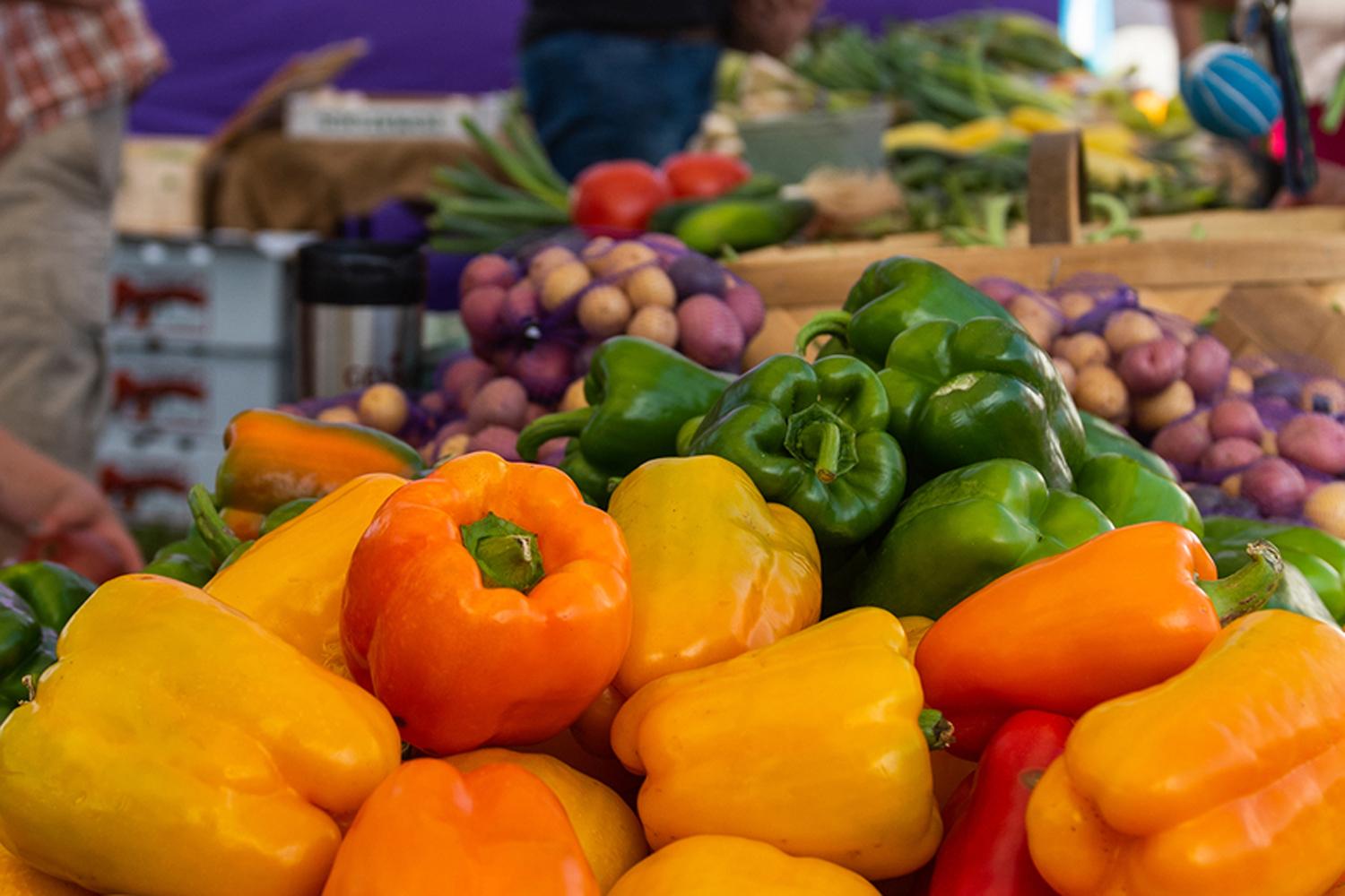 Oak Island Farmers Market
